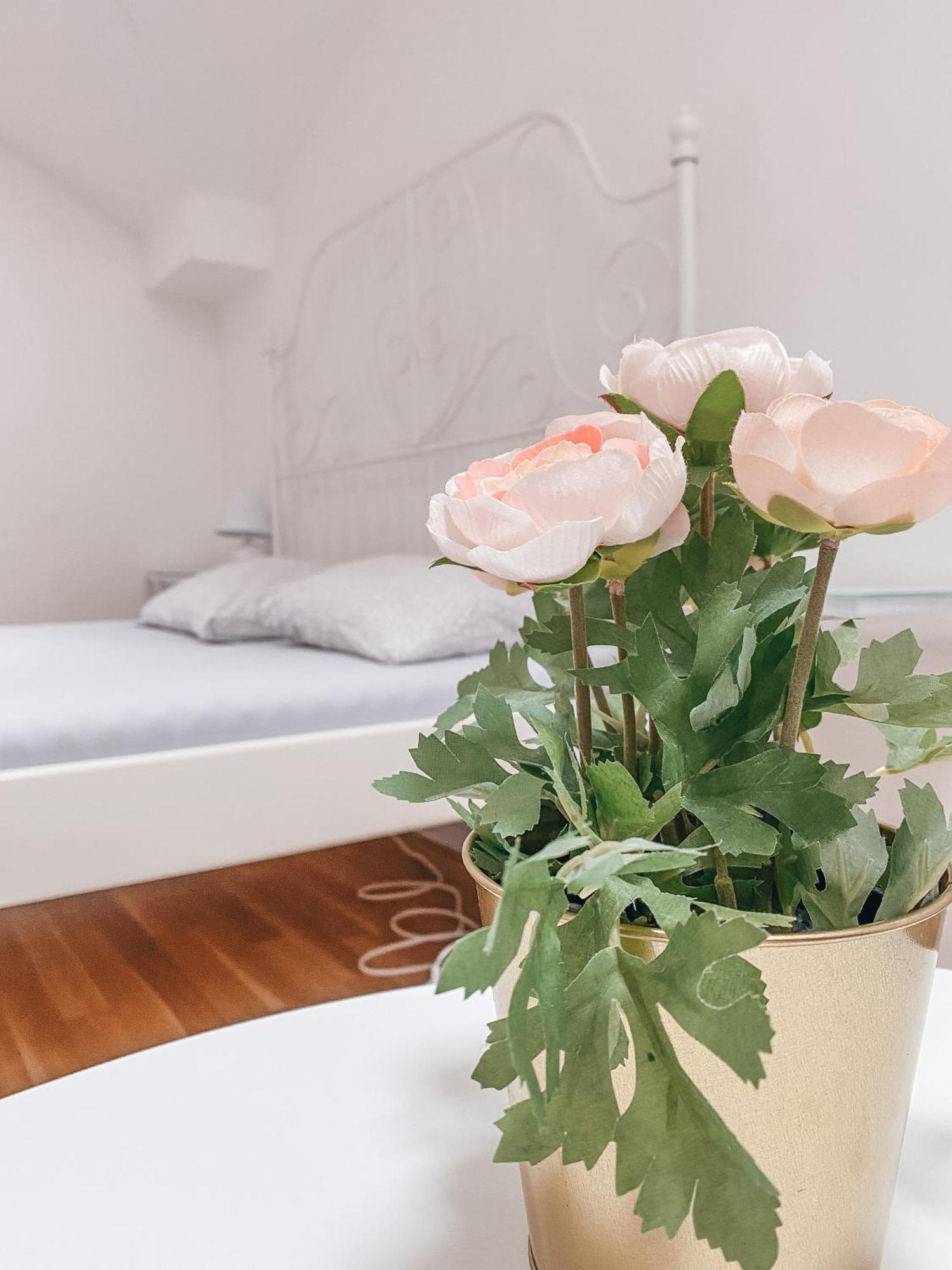 Blue Lotus Apartments ブラチスラヴァ エクステリア 写真